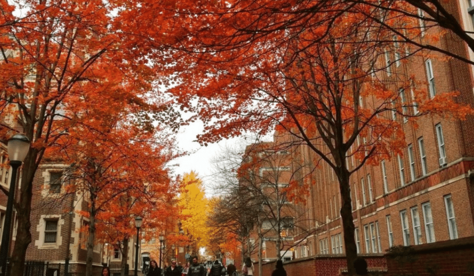 10 Best & Beautiful Spots In Philadelphia To Go Leaf-Peeping