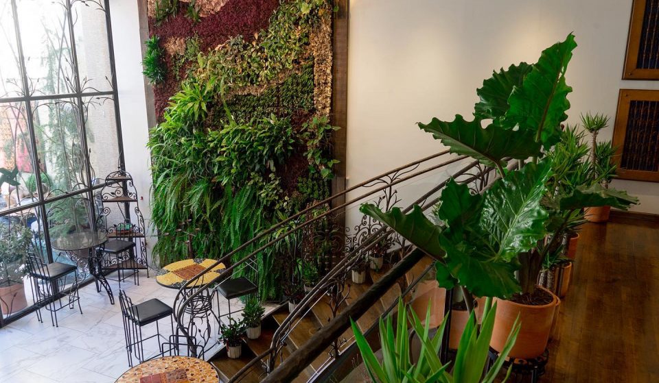 This New Café In Manayunk Doubles As An Art Gallery & It’s An Absolute Urban Oasis