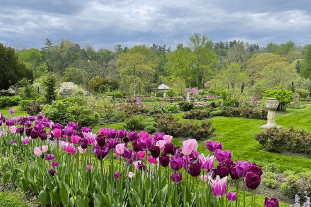 7 Blooming Arboretums And Botanical Gardens To Visit In Philly
