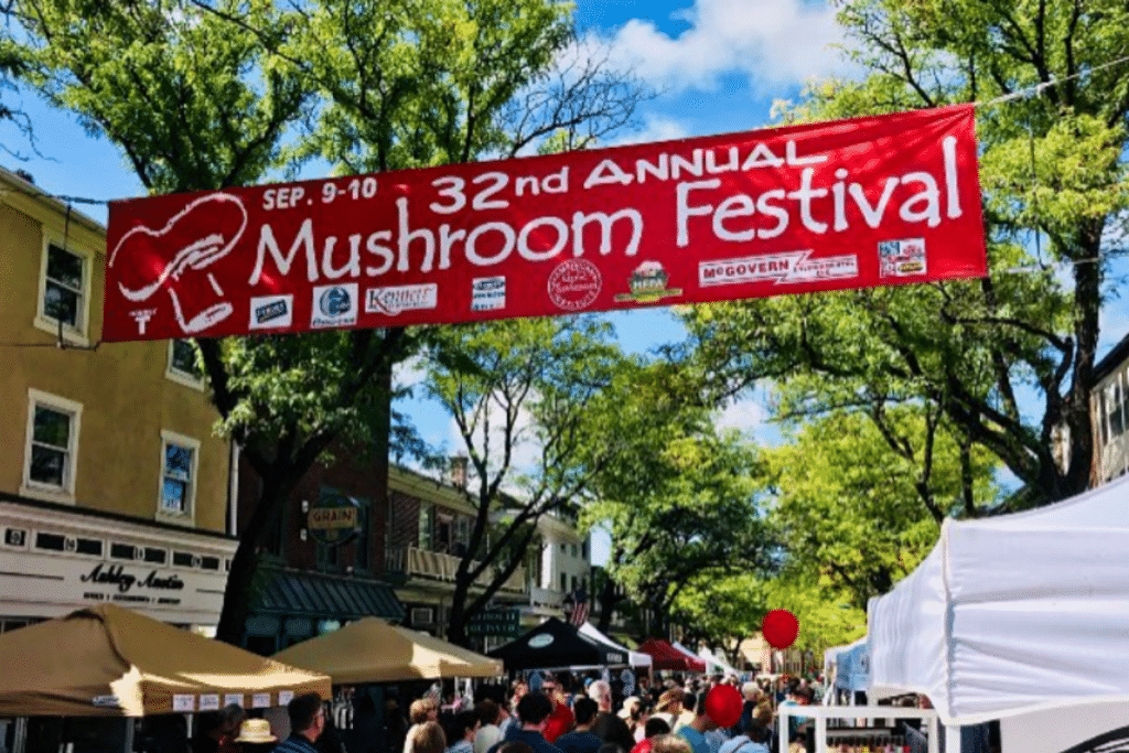 A Mushroom Festival Is Coming To Kennett Square This Weekend
