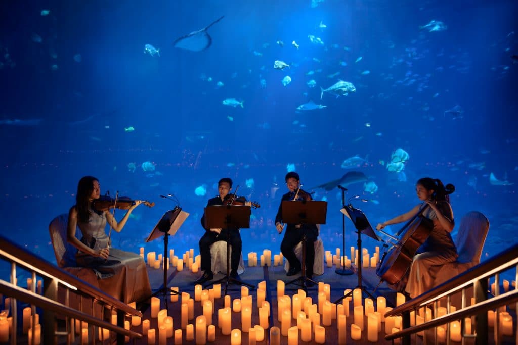 candlelight concert aquarium