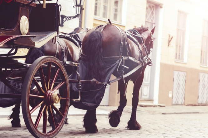 Philadelphia's first horseless carriage debuts in the July 4