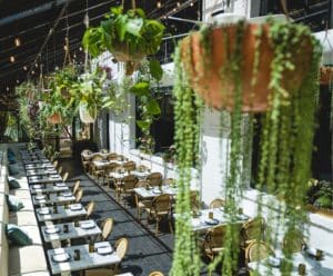 Plant-filled ambiance at Osteria in Philadelphia