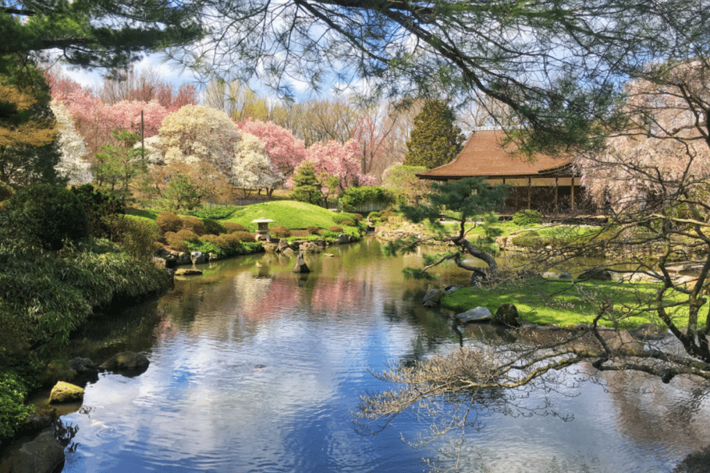 This Stunning Garden In Philly Will Transport You Straight To Japan