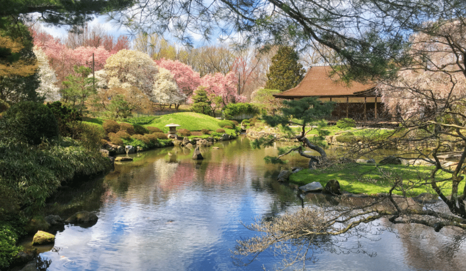 This Stunning Garden In Philly Will Transport You Straight To Japan