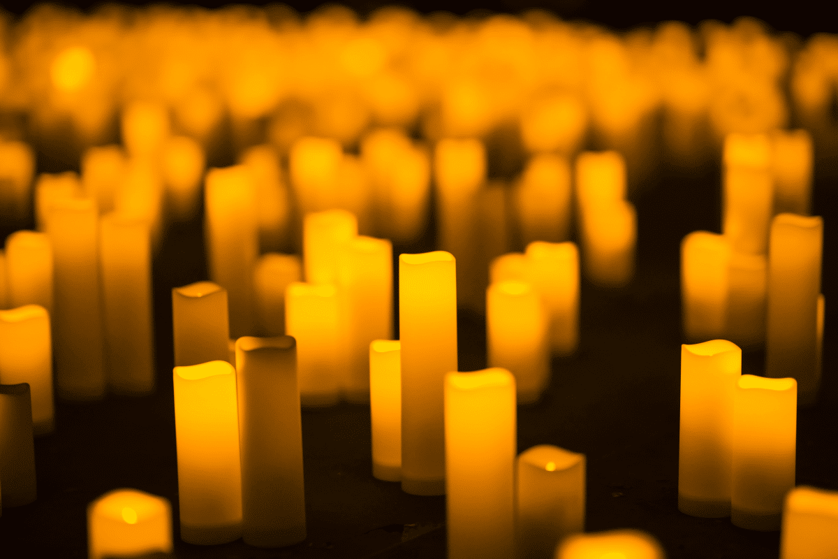 Candles on display for a Candlelight concert.