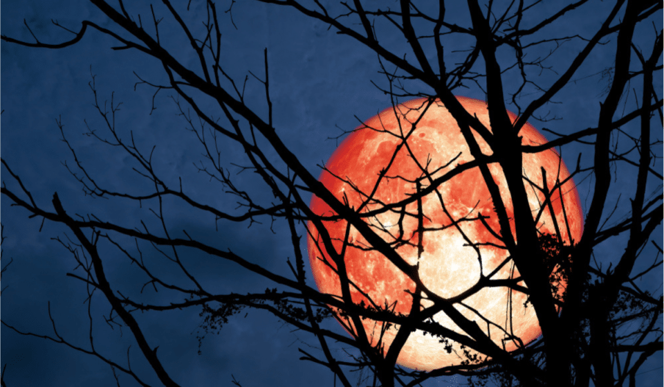 Don’t Miss Tonight’s Rare Hunter’s Moon And Lunar Eclipse